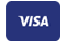 Betaalmethode Visa logo